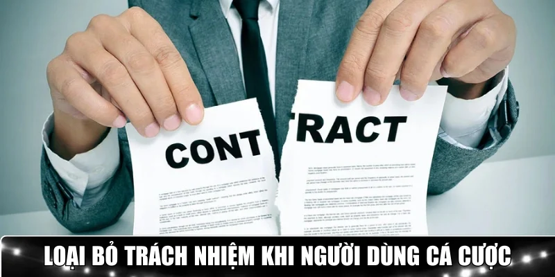 Loại bỏ trách nhiệm khi người dùng đặt cược